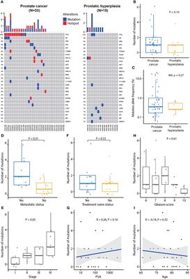 Urine- and Blood-Based Molecular Profiling of Human Prostate Cancer